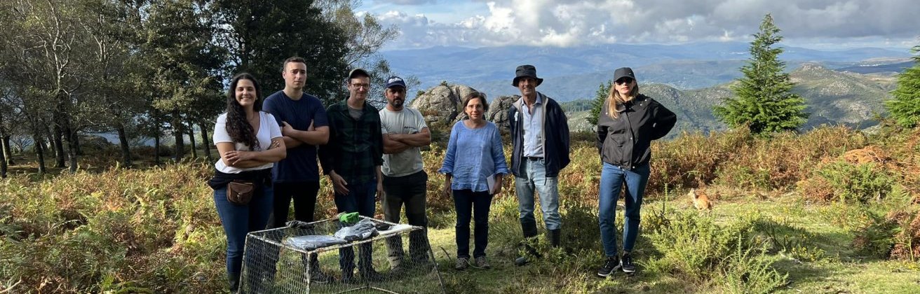 Politécnico de Viana coordena projeto para valorizar baldios no Alto Minho