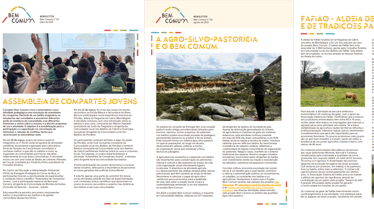3ª e 4ª Newsletter